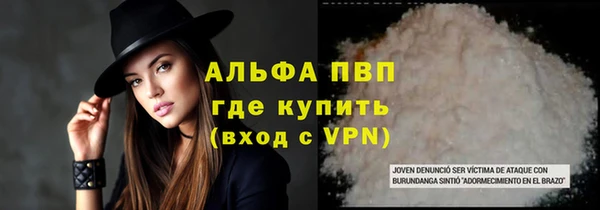 крисы Каменногорск